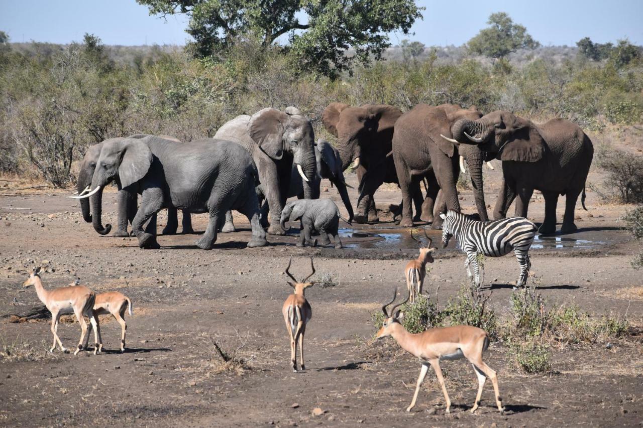 Mzsingitana Tented Camp Худспрут Экстерьер фото