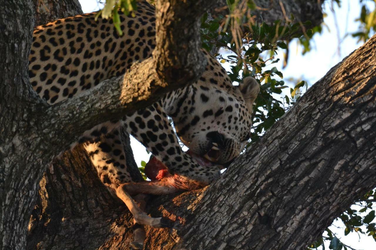 Mzsingitana Tented Camp Худспрут Экстерьер фото