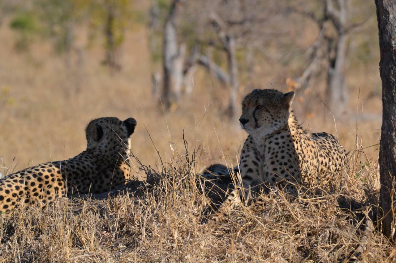 Mzsingitana Tented Camp Худспрут Экстерьер фото